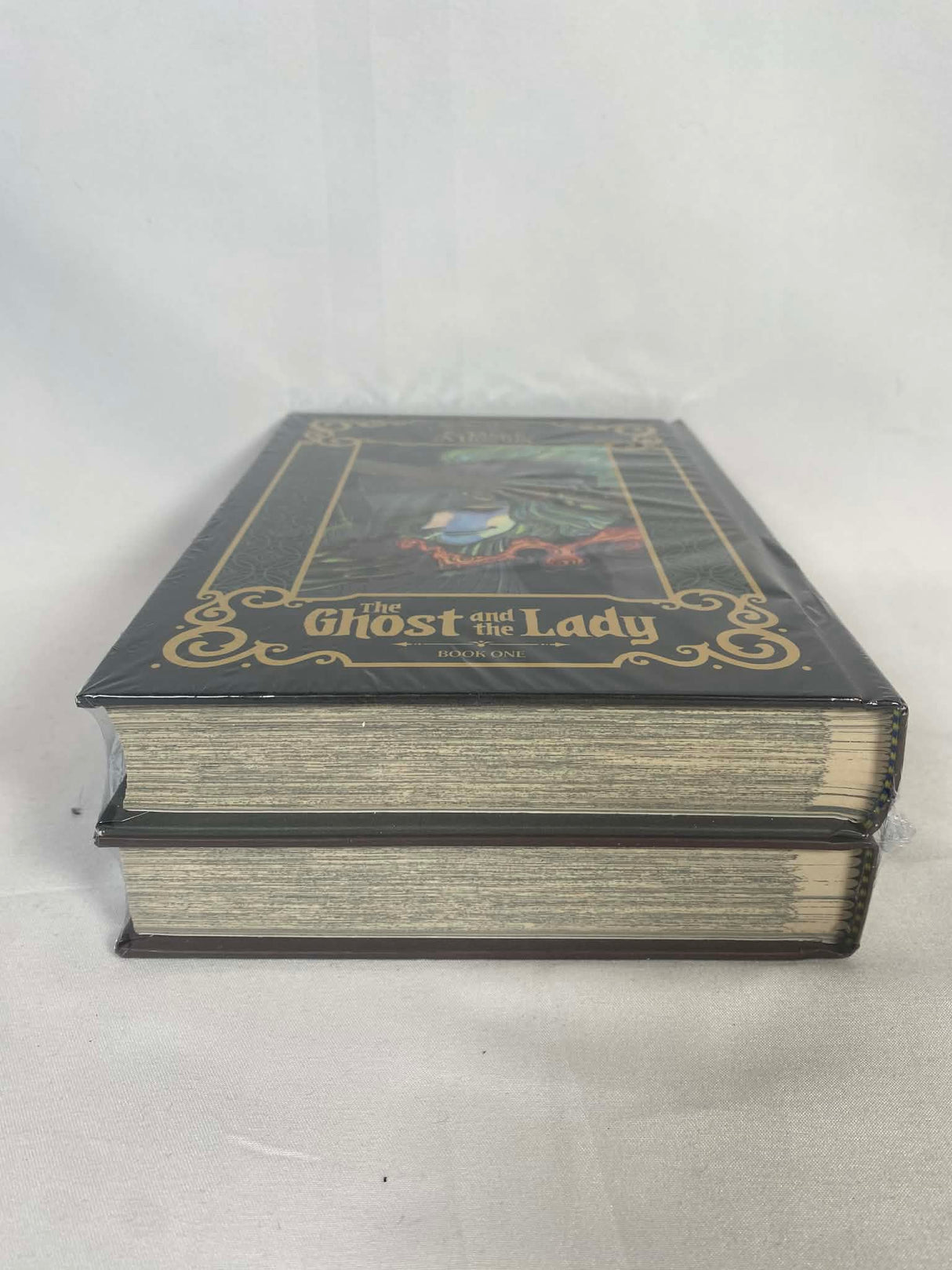 Black Museum The Ghost and the Lady Volumes 1 & 2 Complete Manga Bundle