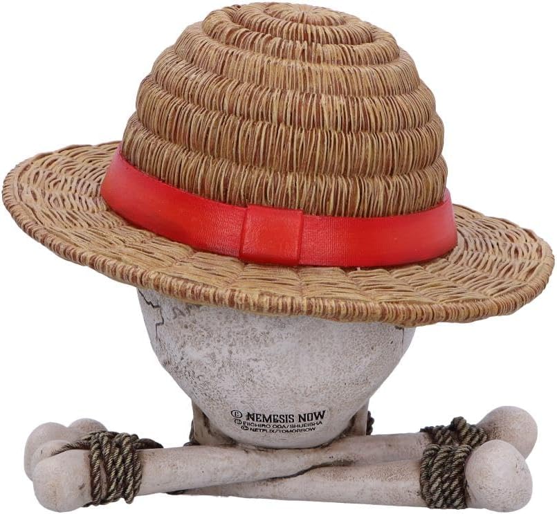 One Piece Luffy Jolly Roger Box