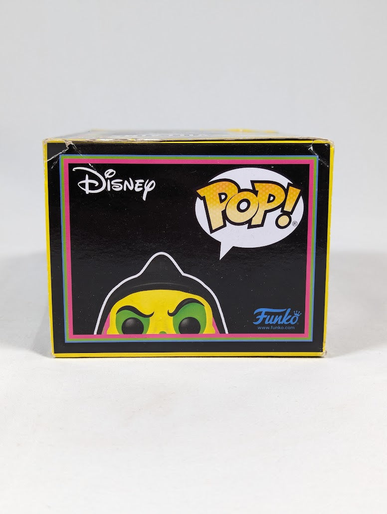 Disney Villains Disguised Evil Queen With Raven (Blacklight) Funko Pop! Vinyl Figure #1426