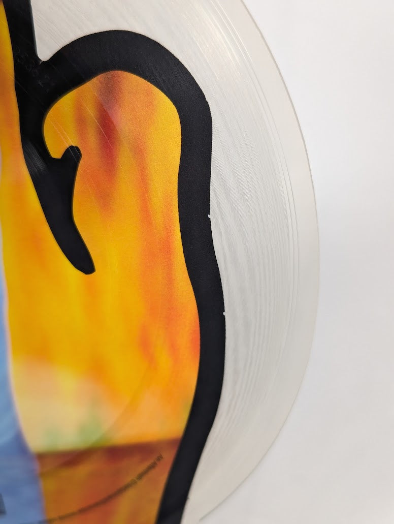 Eminem Slim Shady Middle Finger Limited Edition Vinyl Record