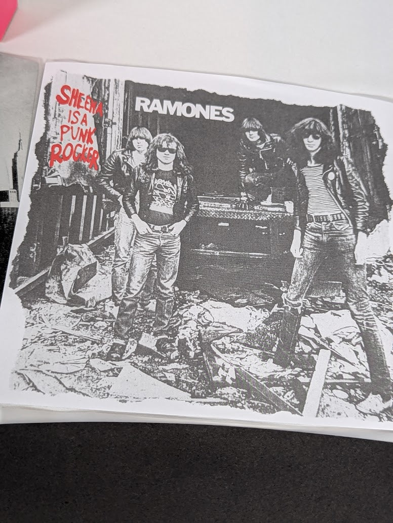 Ramones Singles Box 7" Vinyl Record Limited Edition Box Set #442