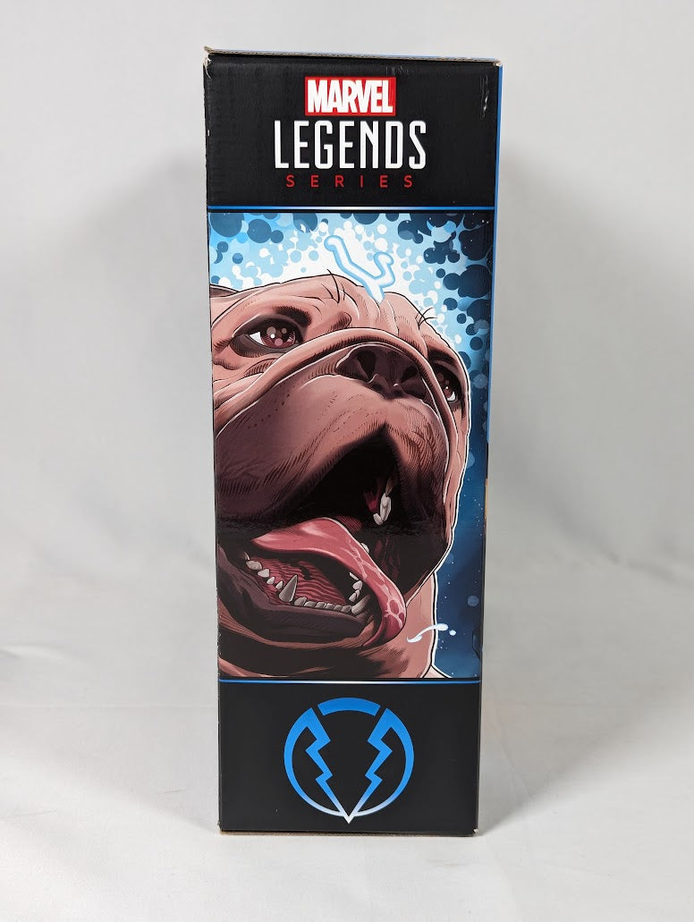 Marvel Legends Inhumans Crystal & Lockjaw 2024 Hasbro Action Figure 2-Pack