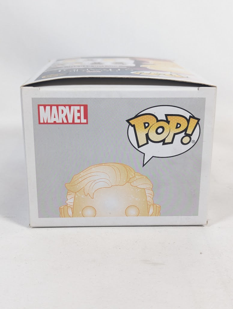 Marvel Doctor Strange (Collector Corps Exclusive) Funko Pop! Vinyl Figure #173