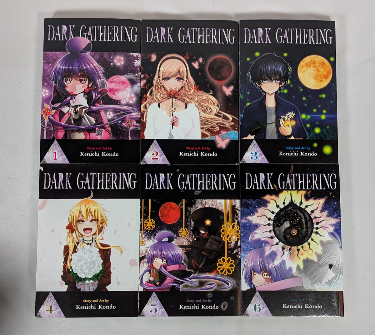 Dark Gathering Volumes 1 - 16 Manga Bundle