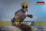 Marvel Deadpool & Wolverine Wolverine \hot Toy 1/6 Scale Classic Brown & Tan