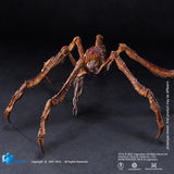 Godzilla x Kong The New Empire Scylla Exquisite Basic Series 6" Action Figure