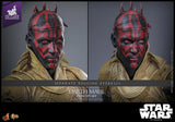 Star Wars Darth Maul Concept Art Collectible 1/6 Scale Hot Toys Action Figure