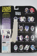 DC Comics Legends of Batman Pirate Batman and Pirate Two-Face 1995 Kenner Action Figure 2-Pack