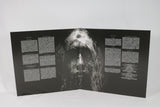 Slipknot We Are Not Your Kind Vinyl Record
