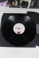 Slipknot We Are Not Your Kind Vinyl Record