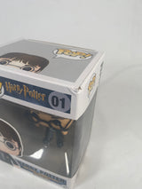 Harry Potter Funko Pop! Vinyl Figure #01