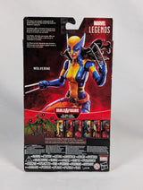 Marvel Legends Lady Wolverine X-23 2019 Hasbro Action Figure