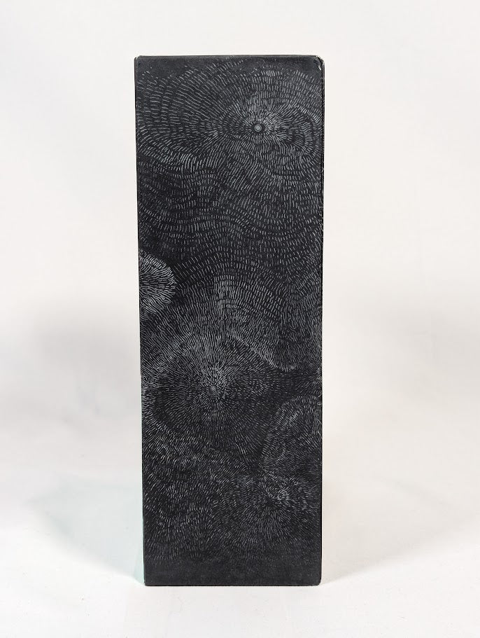 Destiny The Taken King Collectors Edition PS4 (Complete)