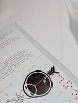 Destiny 2 Beyond Light Collectors Edition PS4 (Complete)