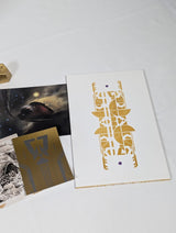 Destiny 2 Collectors Edition PS4 (No Frontier Bag)