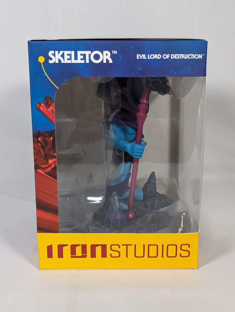 Masters of the Universe Skeletor Minico Vinyl Figure