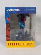 Masters of the Universe Skeletor Minico Vinyl Figure