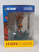 Masters of the Universe He-Man Minico Vinyl Figure