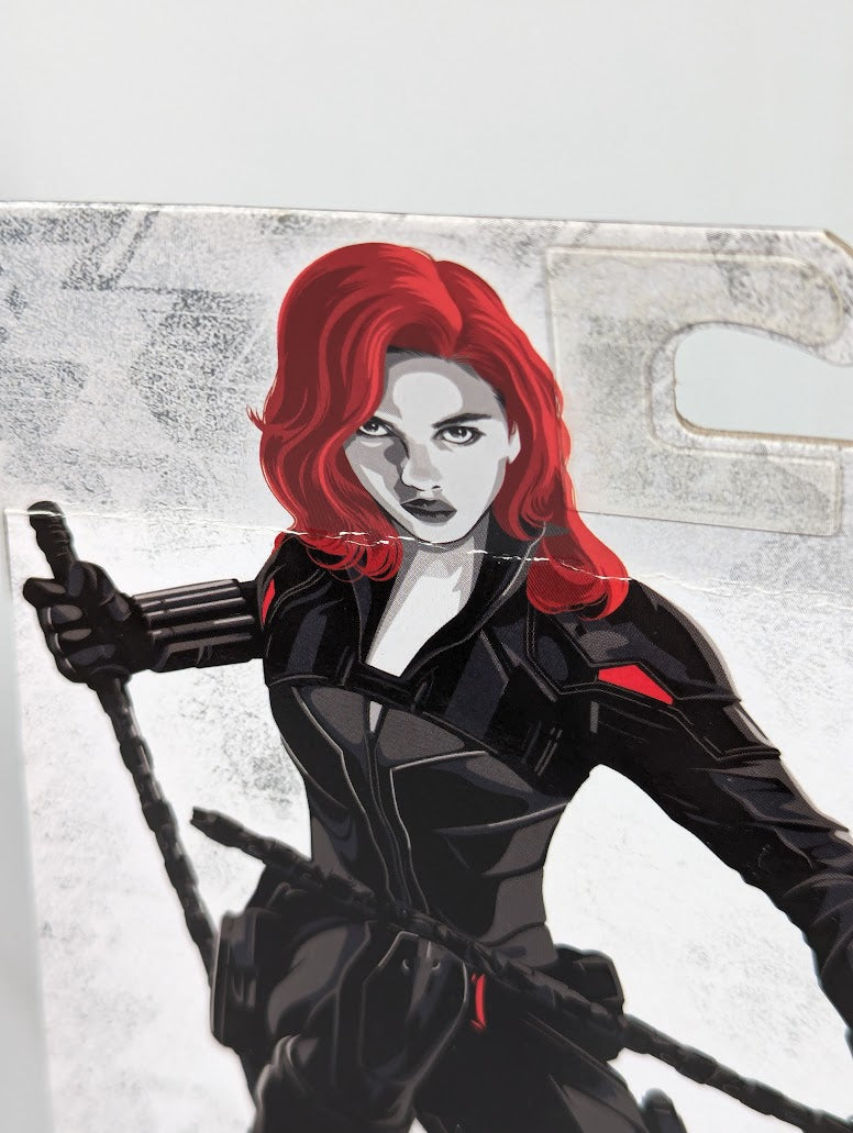 Marvel Legends Black Widow 2019 Hasbro Action Figure