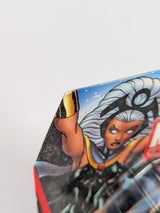 Marvel Universe Storm 2011 Hasbro Action Figure