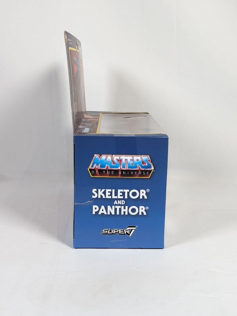 Masters of the Universe Skeletor and Panthor 2019 ReAction Super7 Action Figure