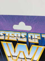 Masters of the Universe x WWE Stephanie McMahon 2020 Mattel Action Figure