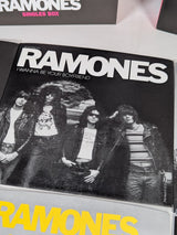 Ramones Singles Box 7" Vinyl Record Limited Edition Box Set #442