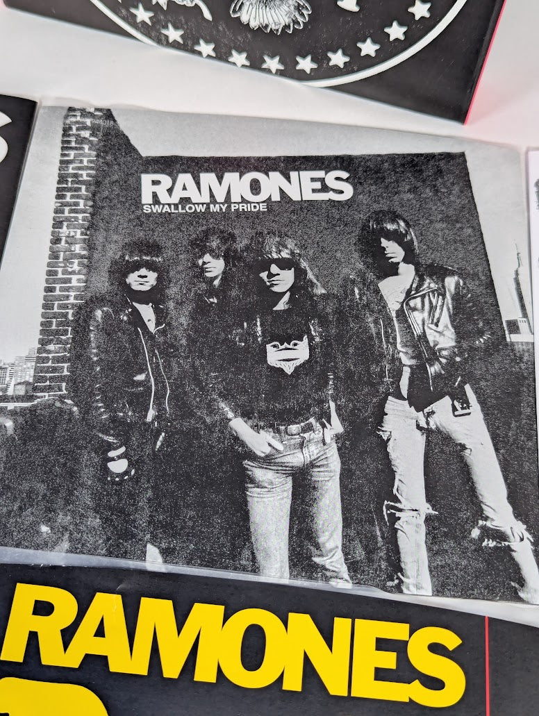 Ramones Singles Box 7" Vinyl Record Limited Edition Box Set #442