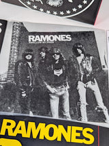 Ramones Singles Box 7" Vinyl Record Limited Edition Box Set #442