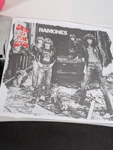 Ramones Singles Box 7" Vinyl Record Limited Edition Box Set #442