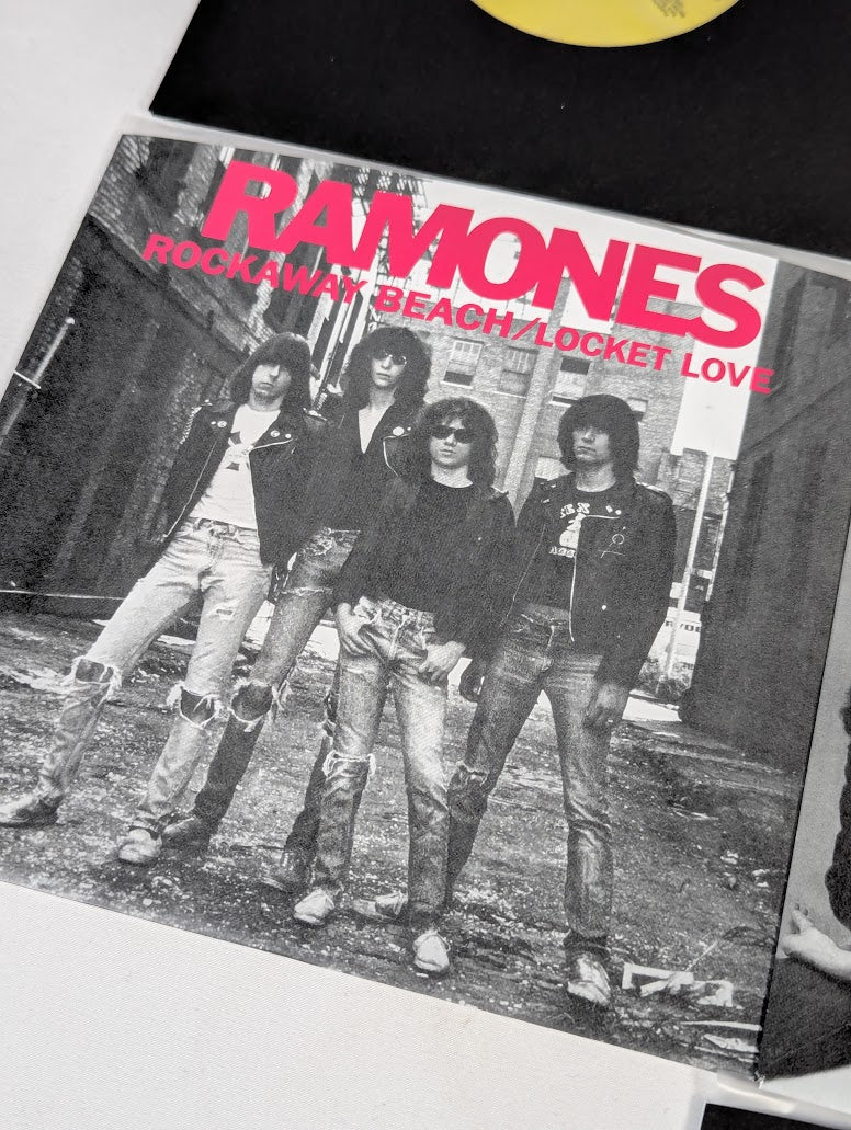 Ramones Singles Box 7" Vinyl Record Limited Edition Box Set #442