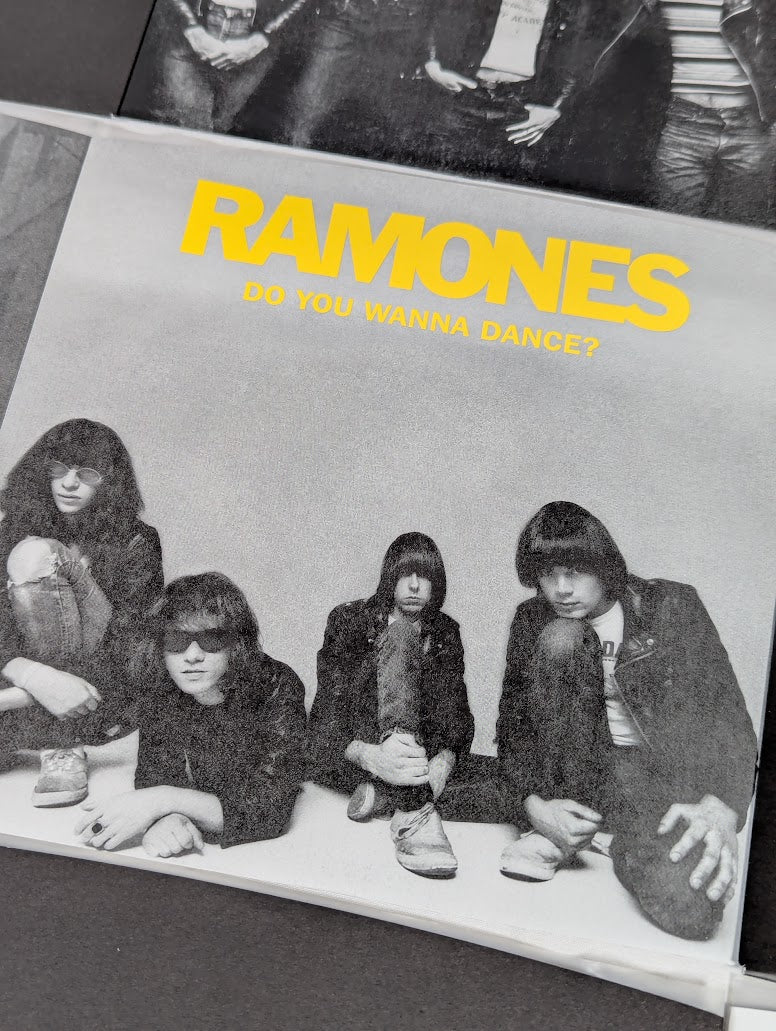 Ramones Singles Box 7" Vinyl Record Limited Edition Box Set #442