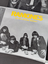Ramones Singles Box 7" Vinyl Record Limited Edition Box Set #442