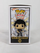 Green Day Billie Joe Armstrong Funko Pop! Vinyl Figure #234