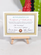 Joe Calzaghe 46-0 Signed Boxing Glove (With CoA)