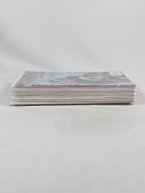 Marvel Punisher (1995) Issues 1 - 18 Comic Book Bundle