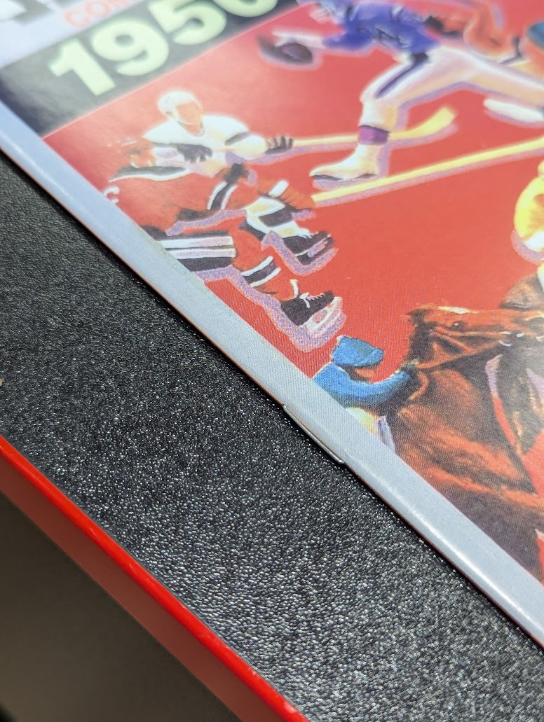 Back to the Future Issue #1 ZBox Exclusive Grays Sports Almanac Replica Variant Cover Comic Book