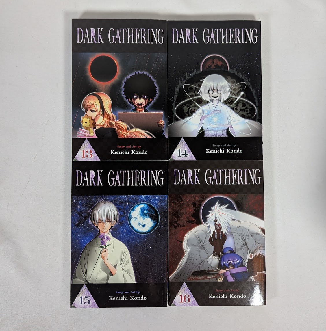 Dark Gathering Volumes 1 - 16 Manga Bundle