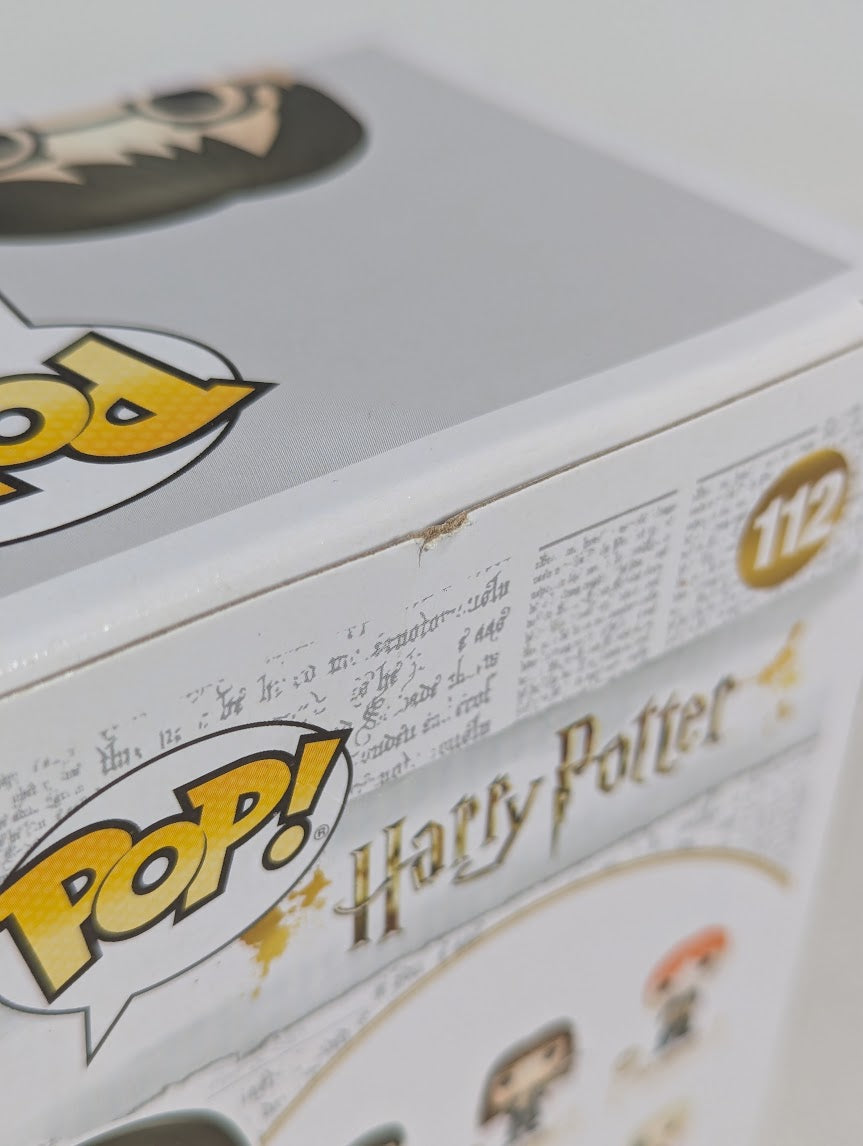 Harry Potter (Invisibility Cloak) Funko Pop! Vinyl Figure #112