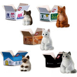 Cat in a Box Wave 01 Blind Box Mystery Mini Figure