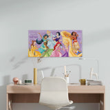 Disney Princess 2027 Calendar