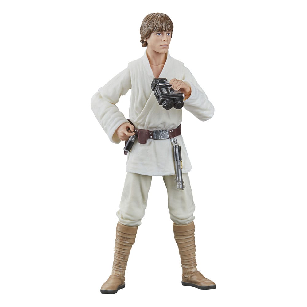 Star Wars Episode IV: Luke Skywalker Black Series Action Figure