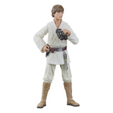 Star Wars Episode IV: Luke Skywalker Black Series Action Figure