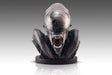 Alien Romulus 1/1 Scale Lifesize Xenomorph Bust