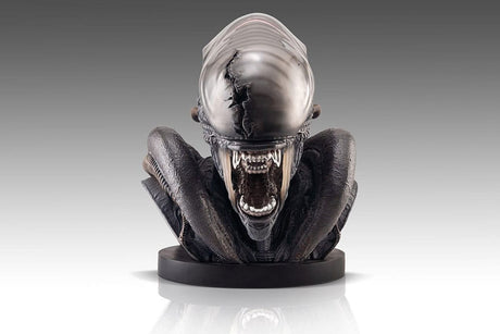Alien Romulus 1/1 Scale Lifesize Xenomorph Bust