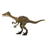 Jurassic World Hammond Collection Troodon Action Figure