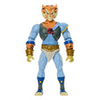 ThunderCats x Masters of Universe Tygra Figure – 14cm