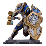 World of Warcraft Human Paladin/Warrior Action Figure, 15 cm