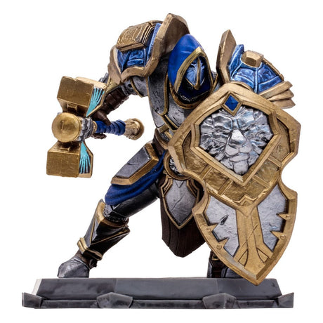 World of Warcraft Human Paladin/Warrior Action Figure, 15 cm