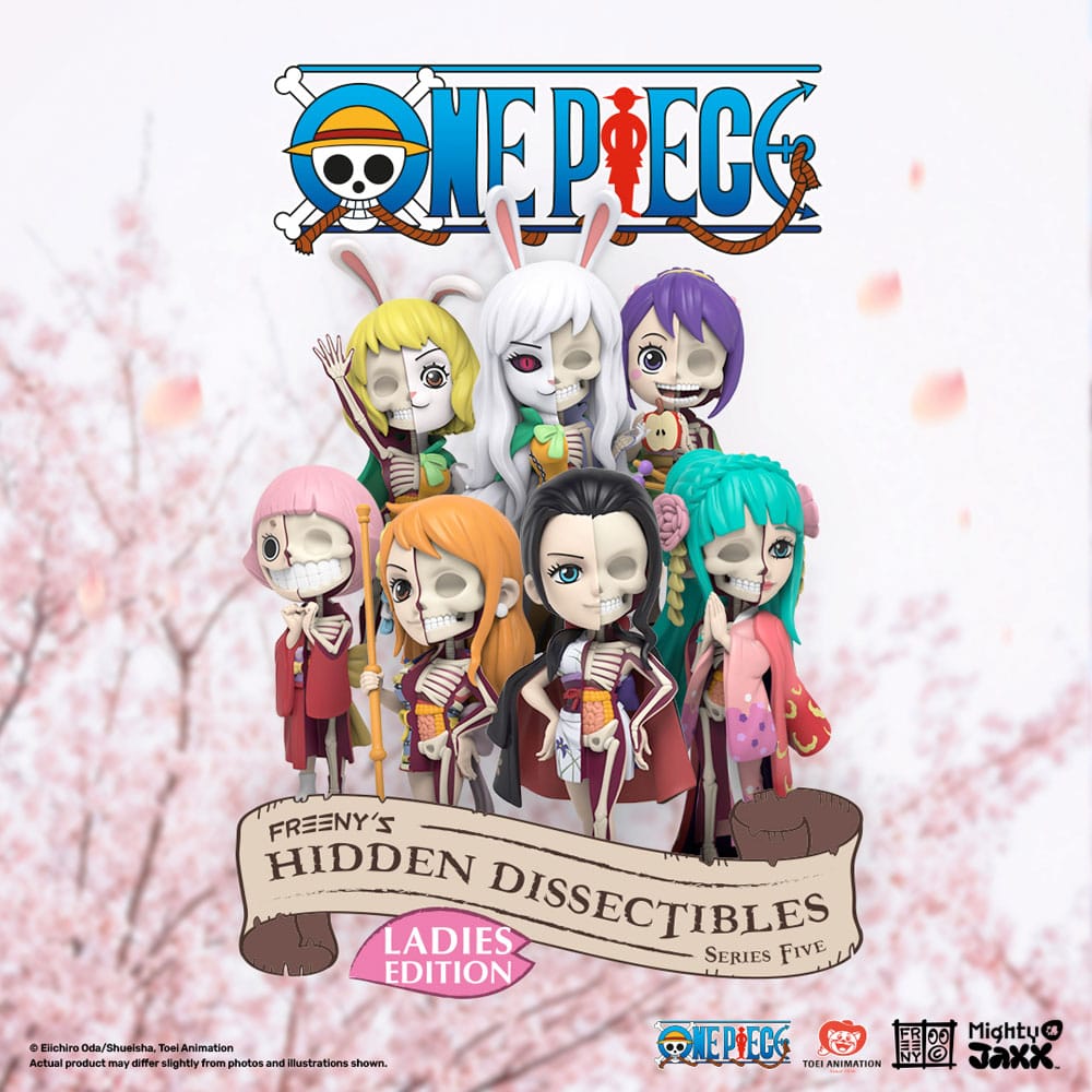 One Piece Series 5 Hidden Dissectibles (Ladies Ed.) - Blind Box Display (6)
